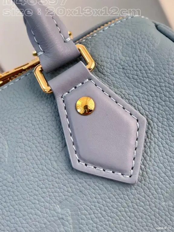 WIS VUITTON 20 SPEEDY LOUIS BANDOULIÈRE 0609